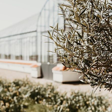 Vejro Resort エクステリア 写真